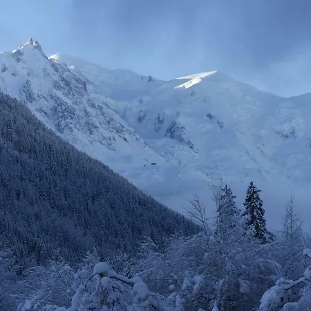 Argentiere - Ideal For Or Summer Chamonix